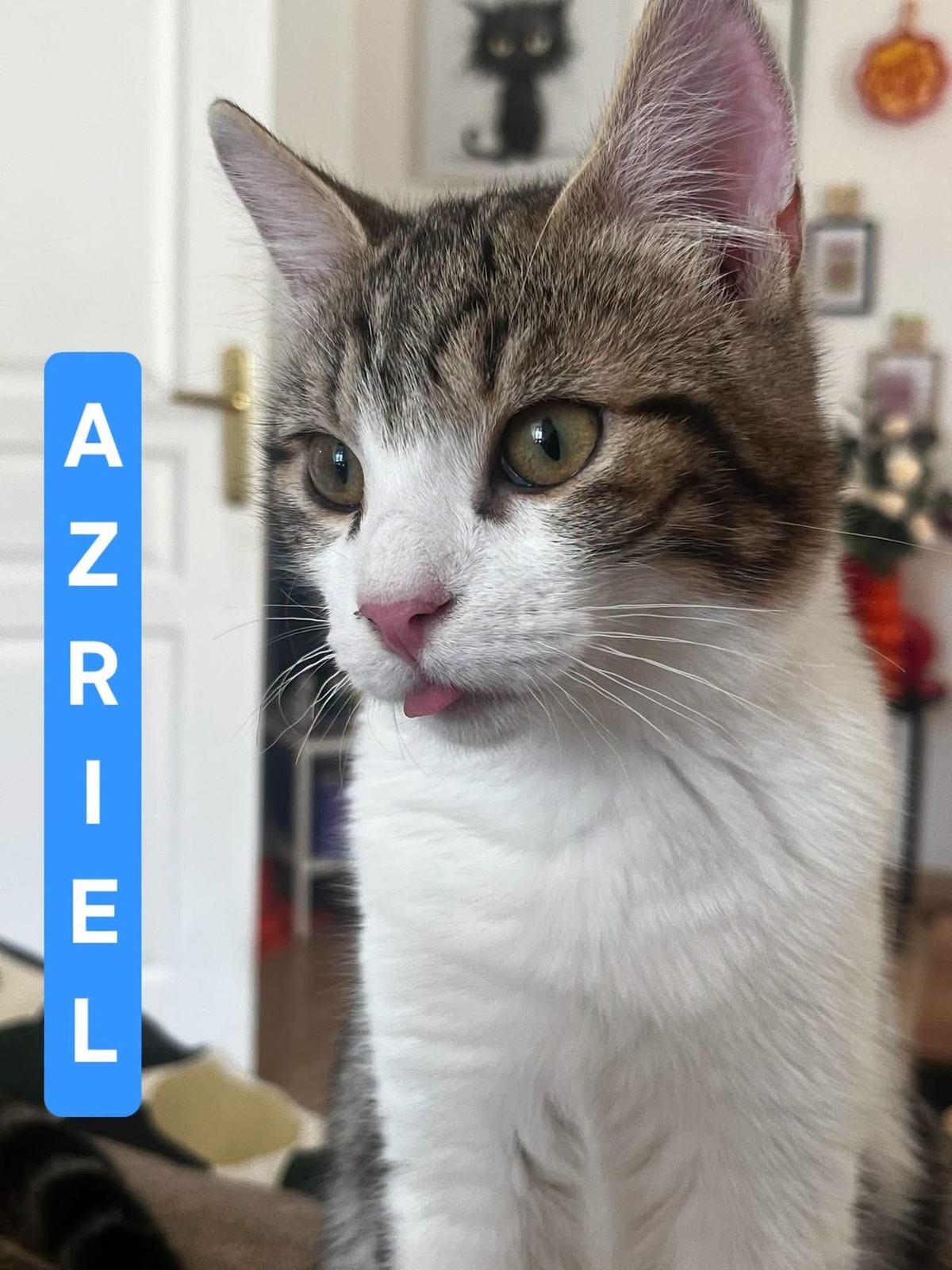 Adoption Azriel et Caliban 