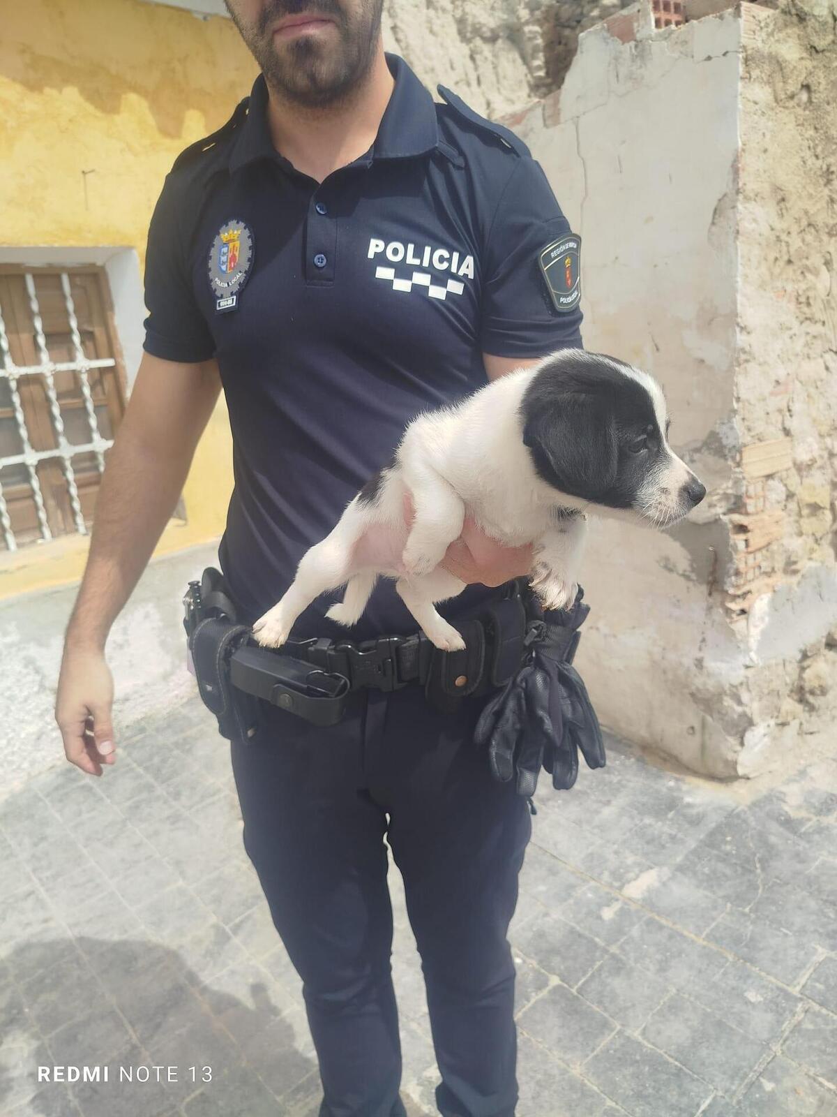 Adoption Lucke