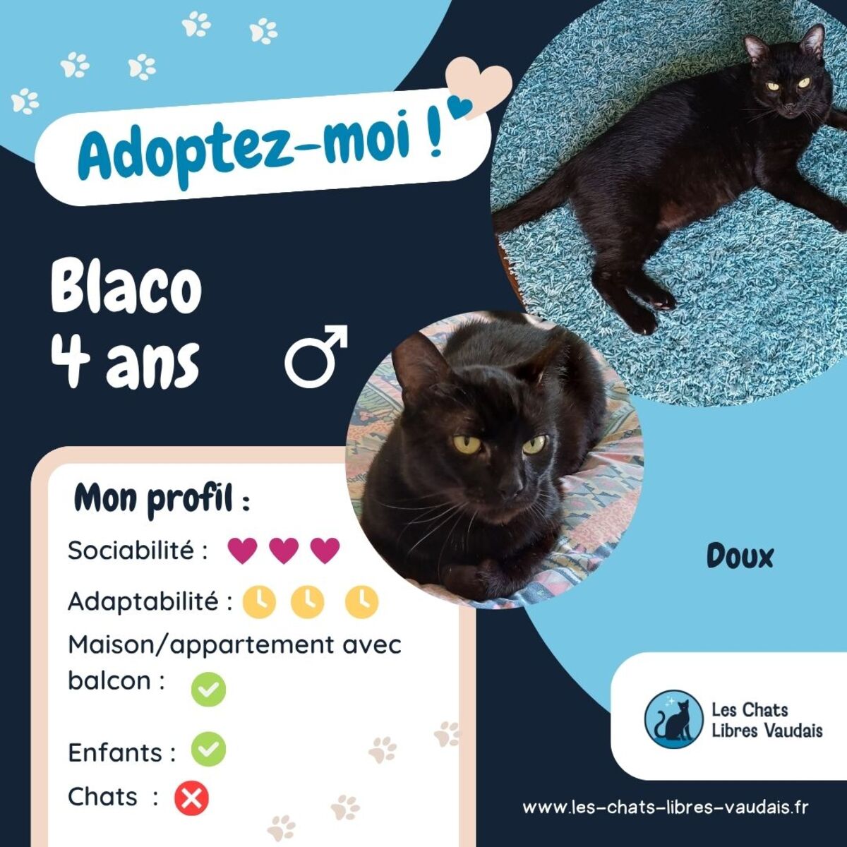 Adoption Blaco