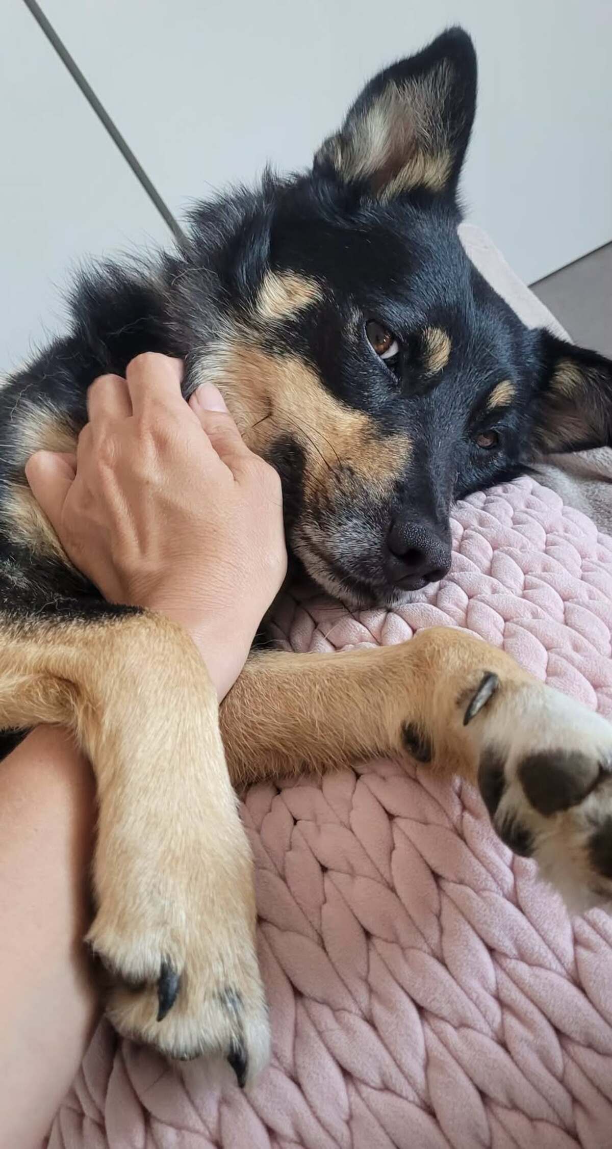 Adoption Talya