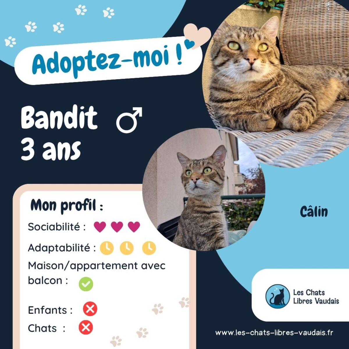 Adoption Bandit