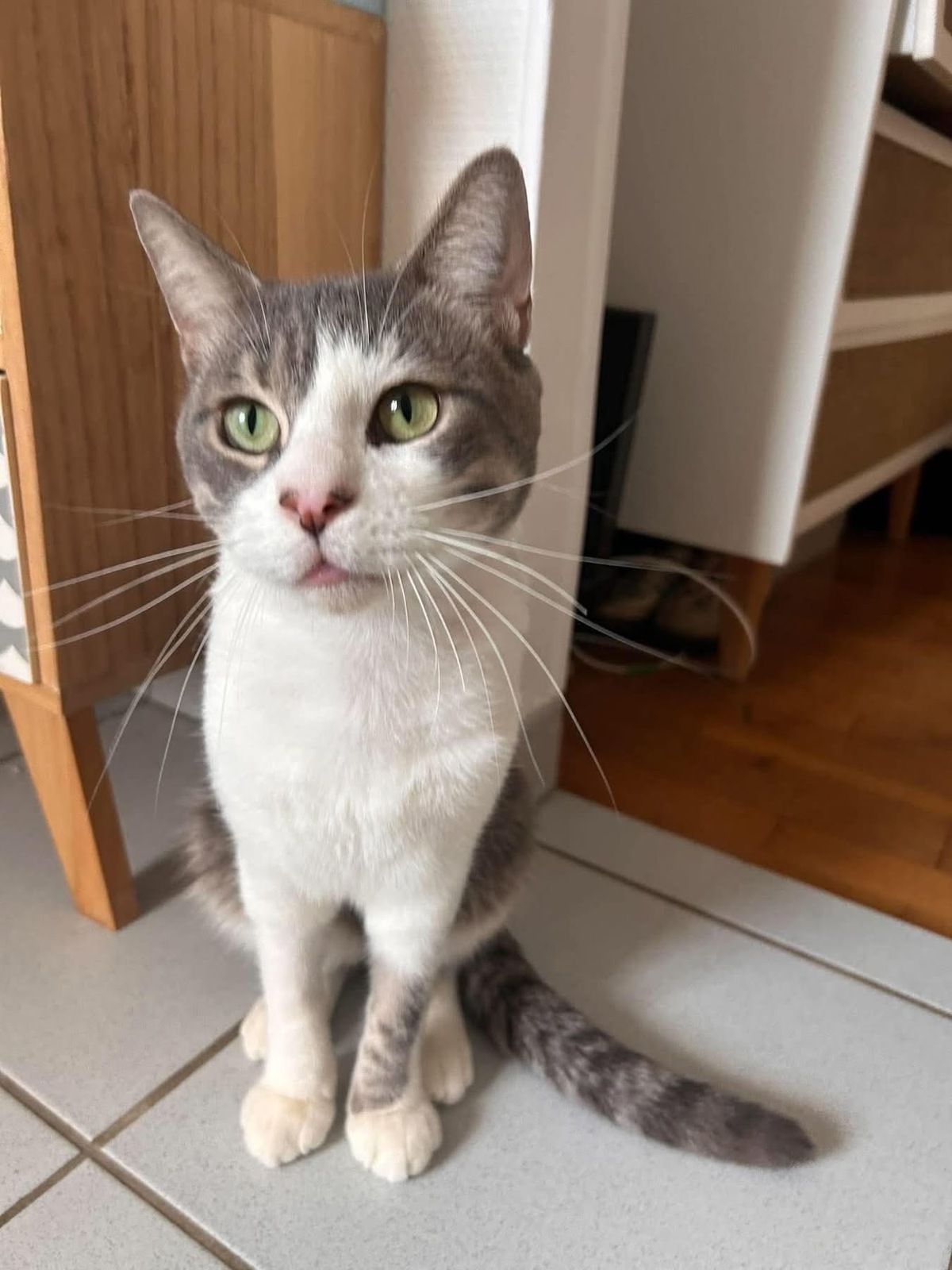 Adoption MIAOUSS