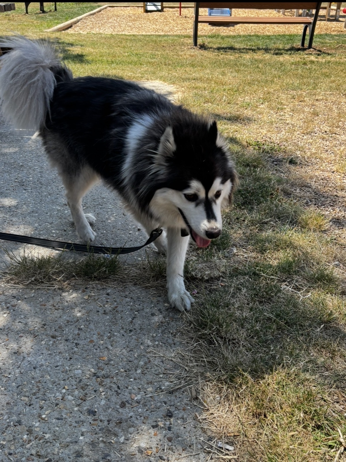 Adoption Tammy 
