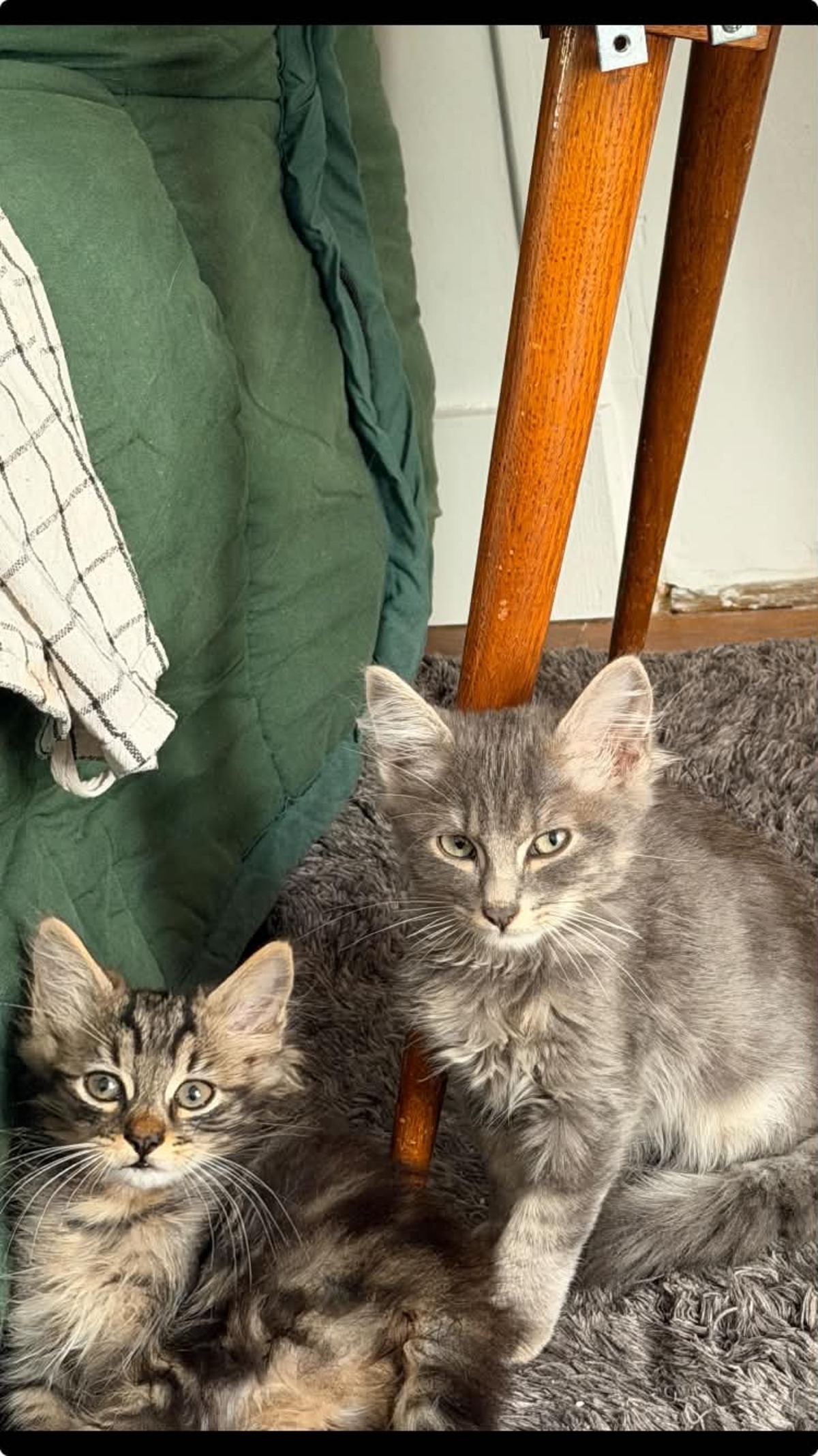 Adoption Jerôme