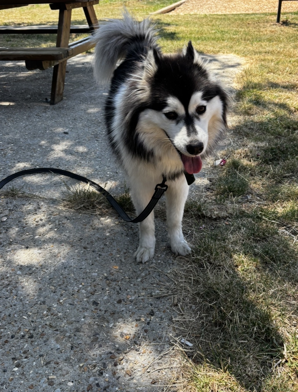 Adoption Tammy 