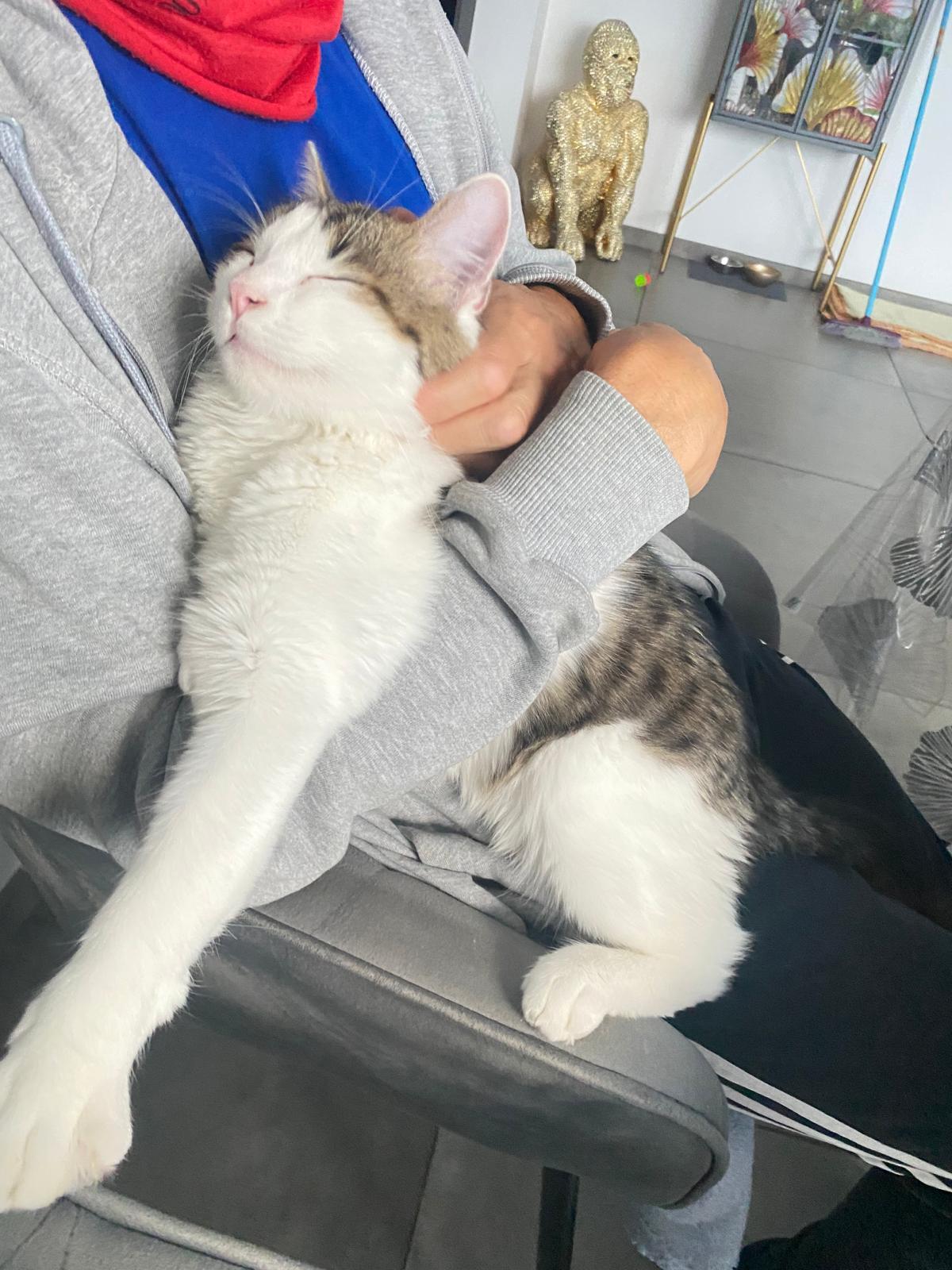 Adoption Louis
