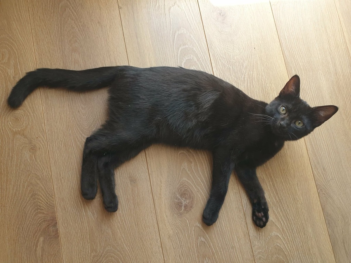 Adoption Marie-Oceane 
