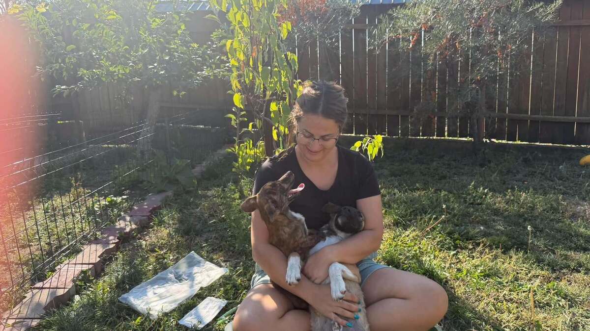 Adoption Rainbow