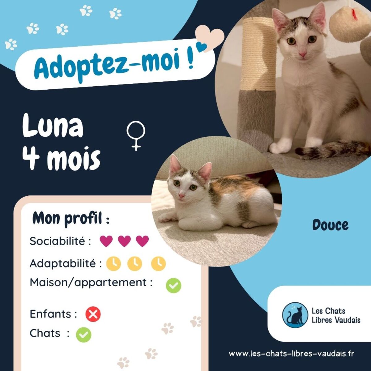 Adoption Luna