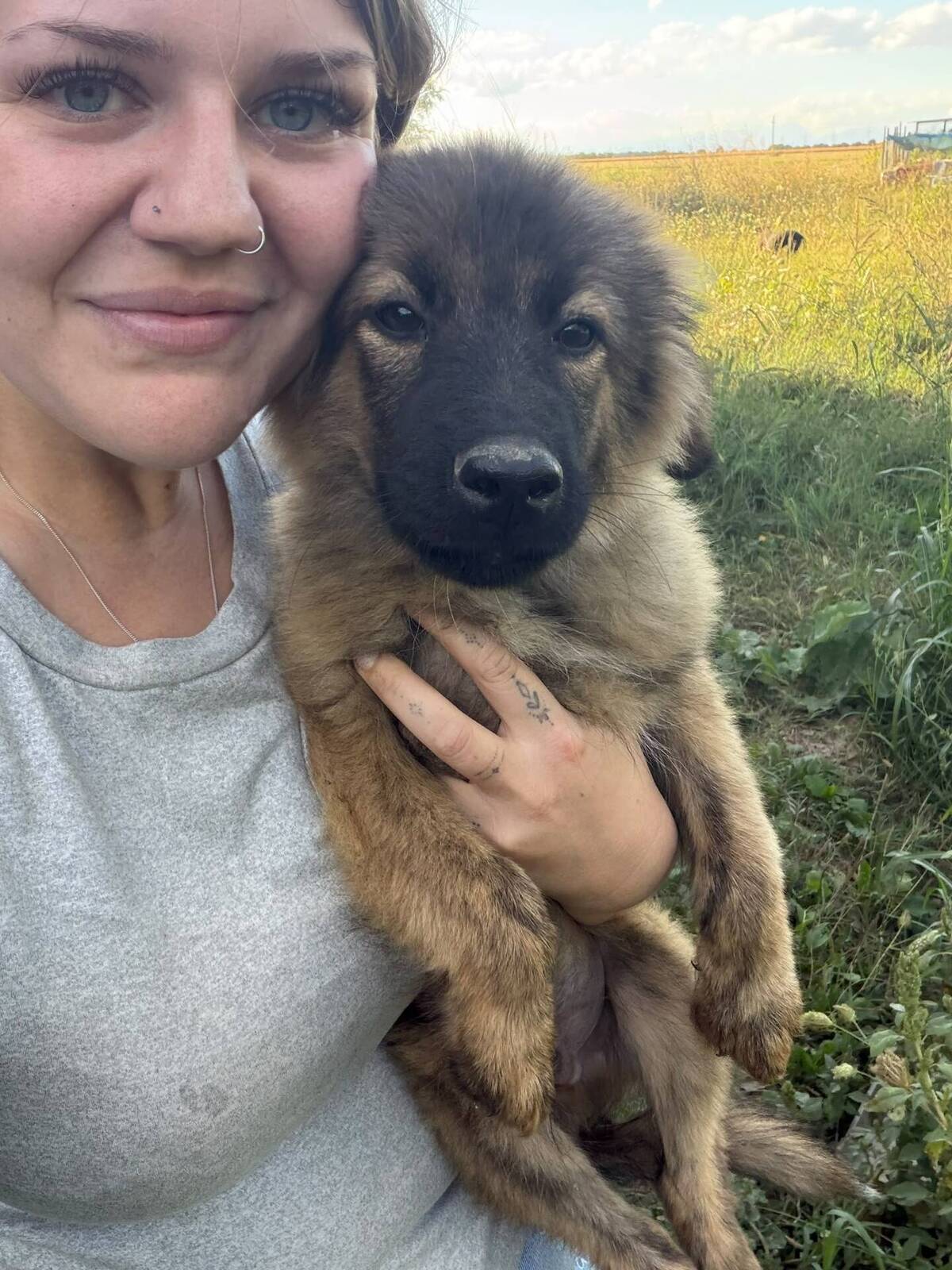 Adoption Micky