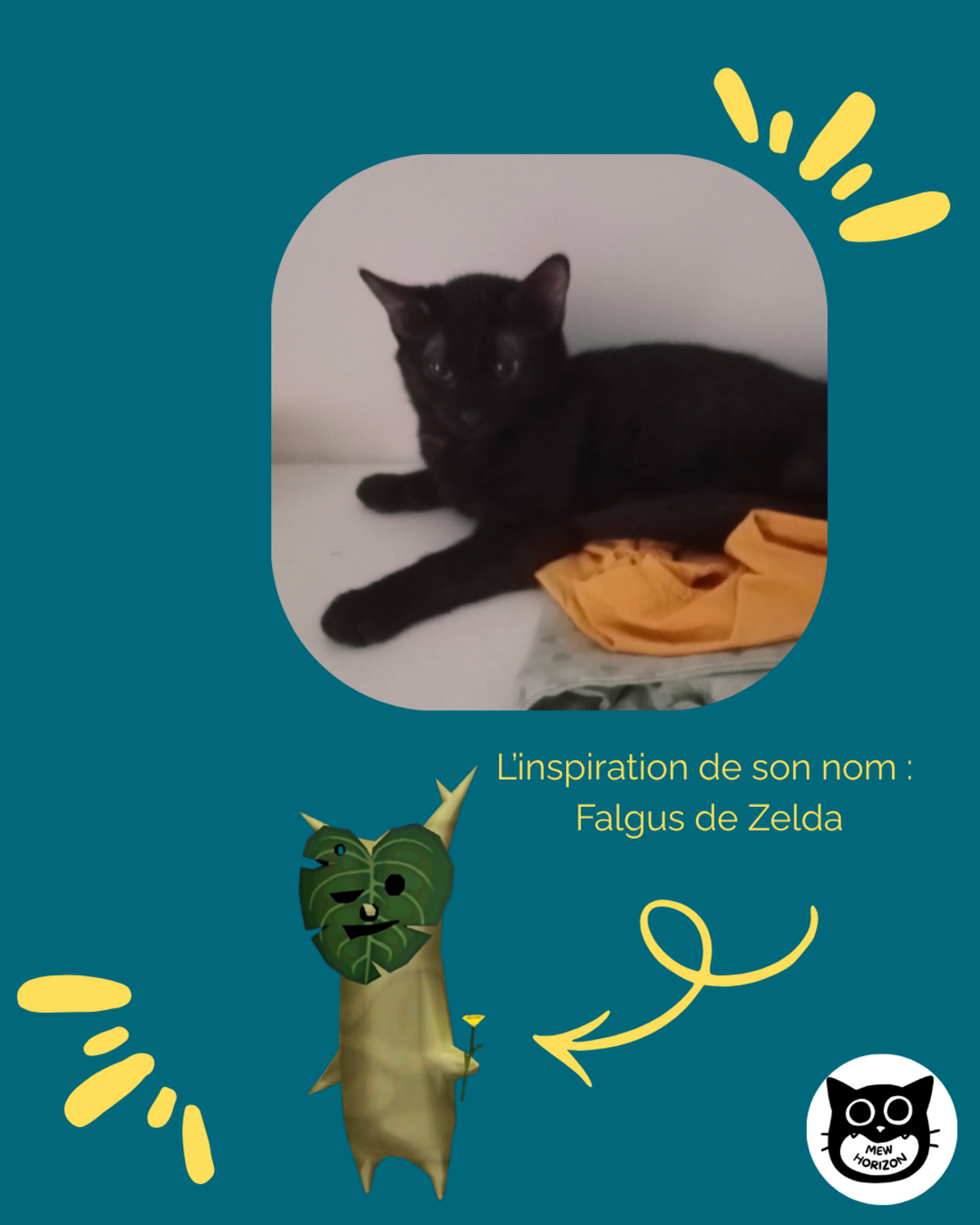 Adoption Falgus