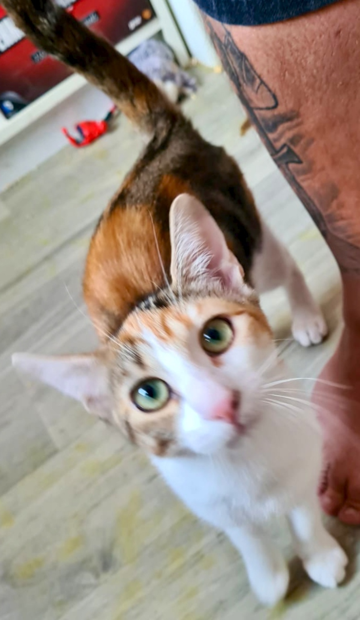 Adoption Betty