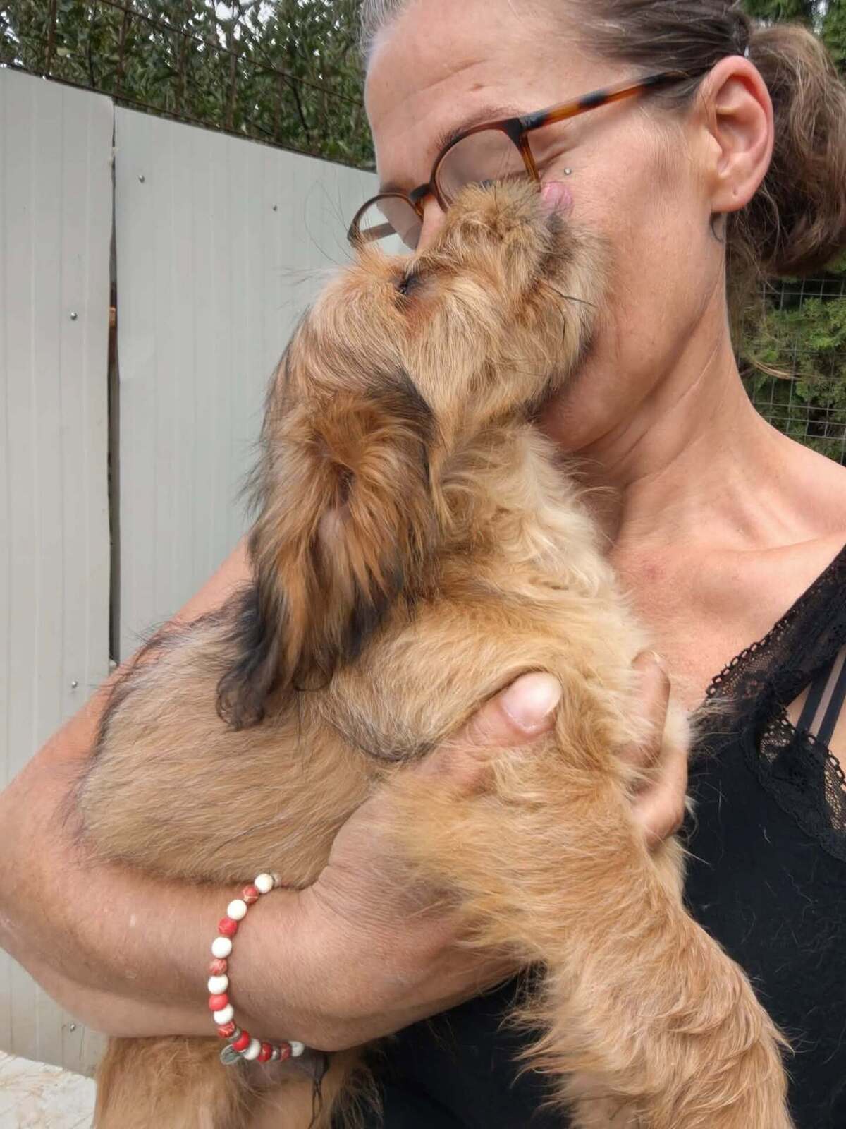 Adoption Kaiyo