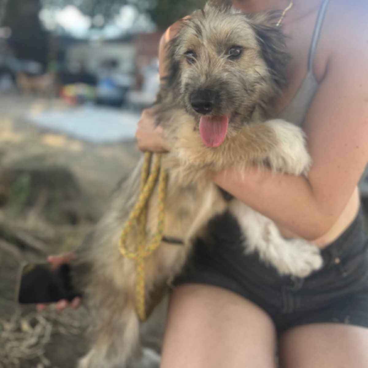 Adoption MACHA