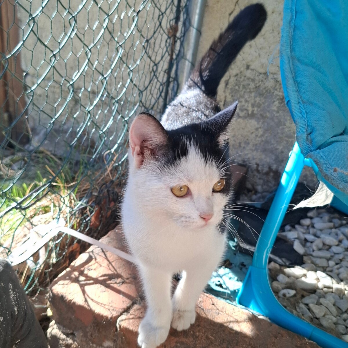Adoption BYZANCE