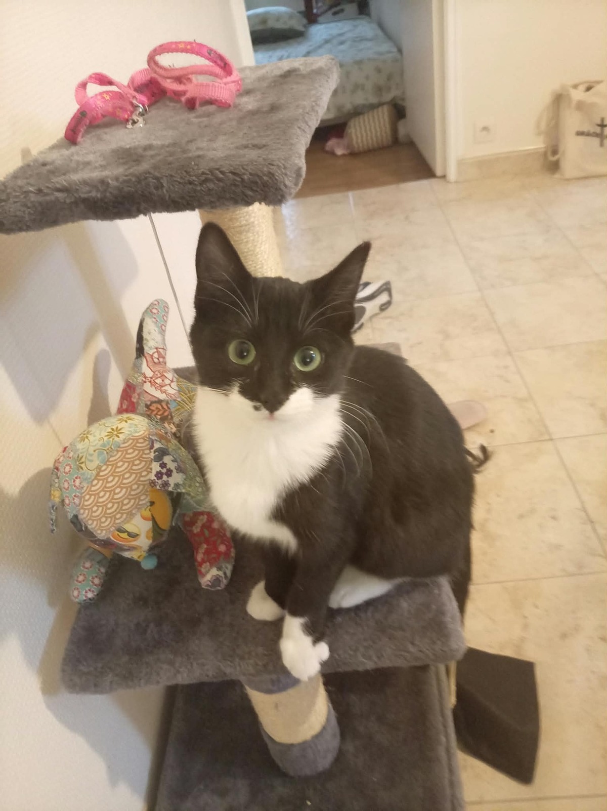 Adoption Becky