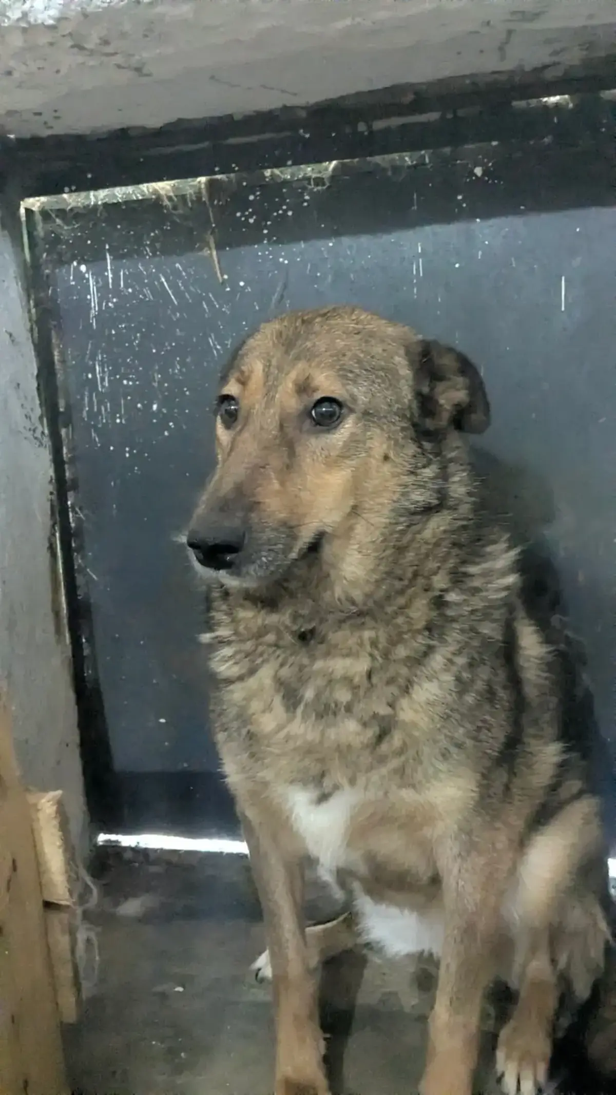 Adoption Namibia