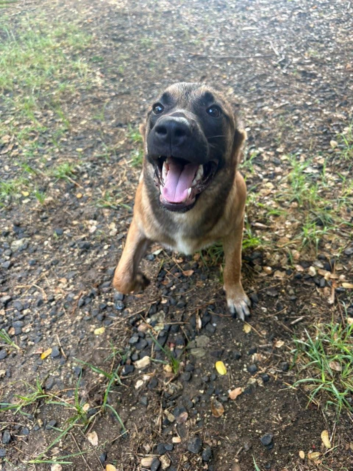 Adoption Soleya