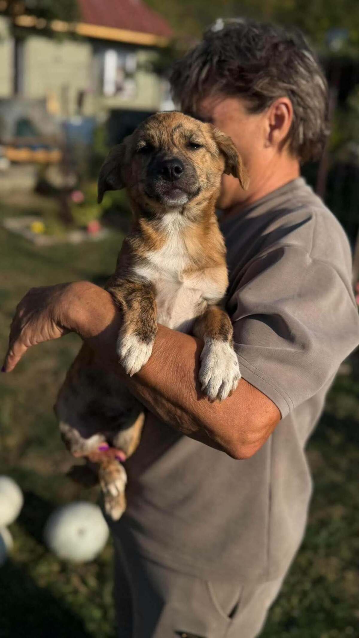 Adoption Rise