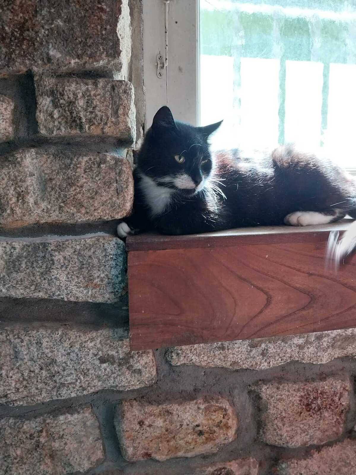Adoption TITOUAN 