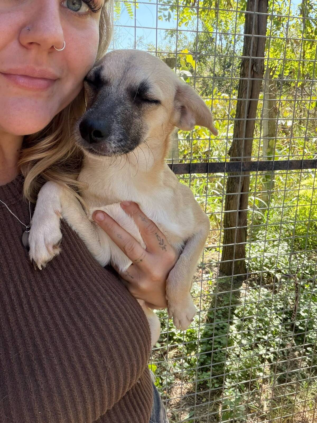 Adoption Aura