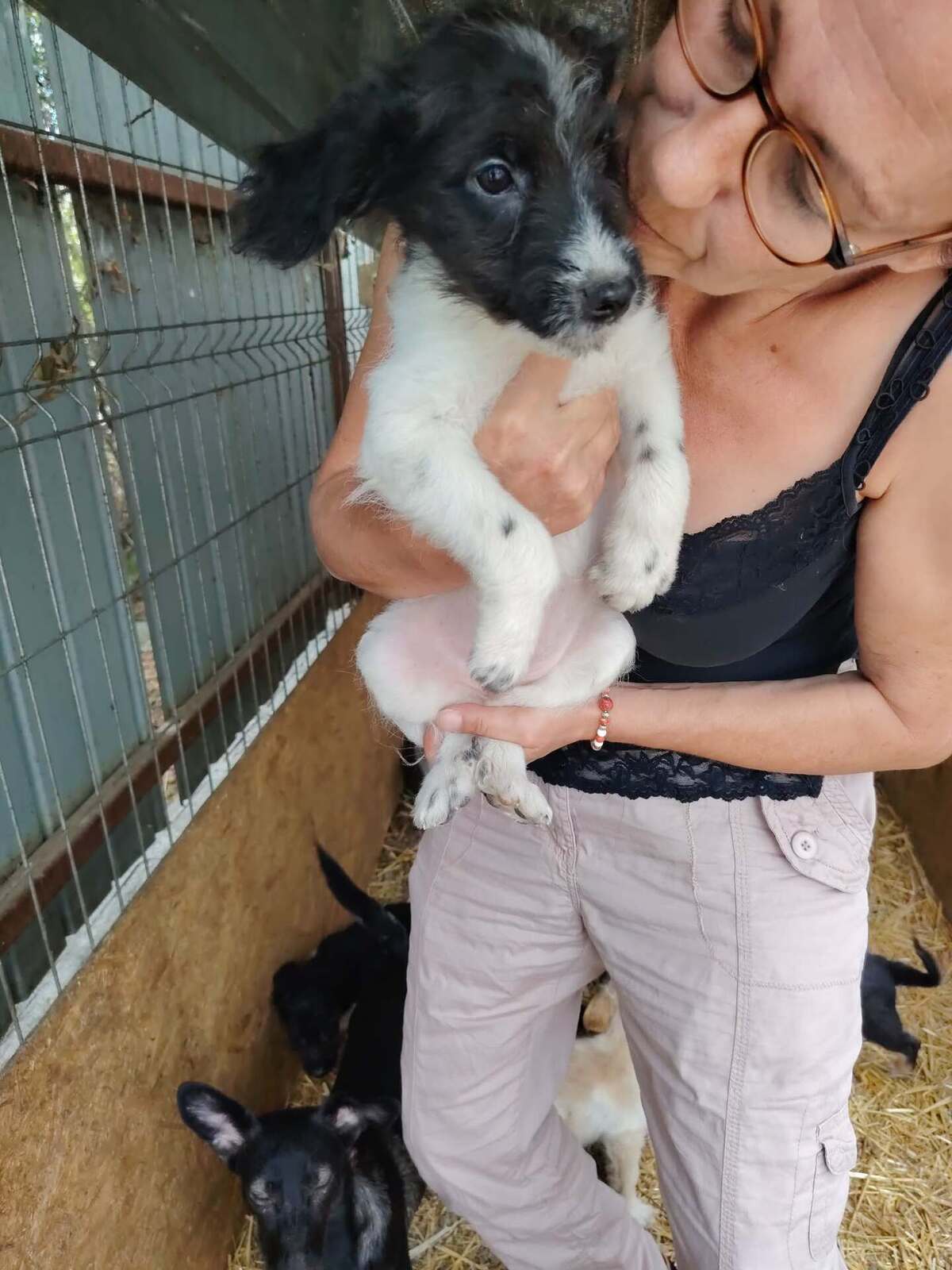 Adoption Crunchie