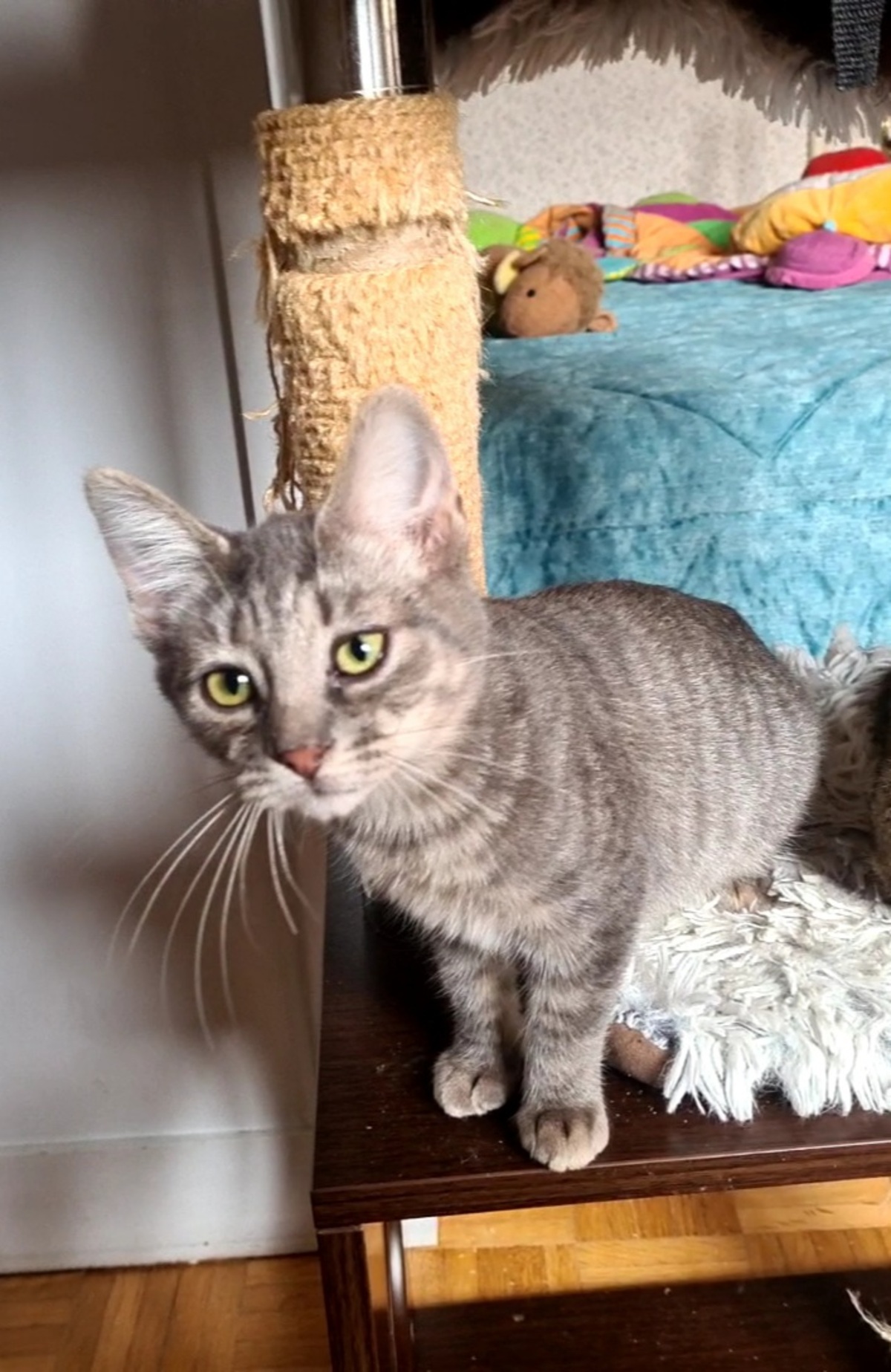 Adoption Rosine
