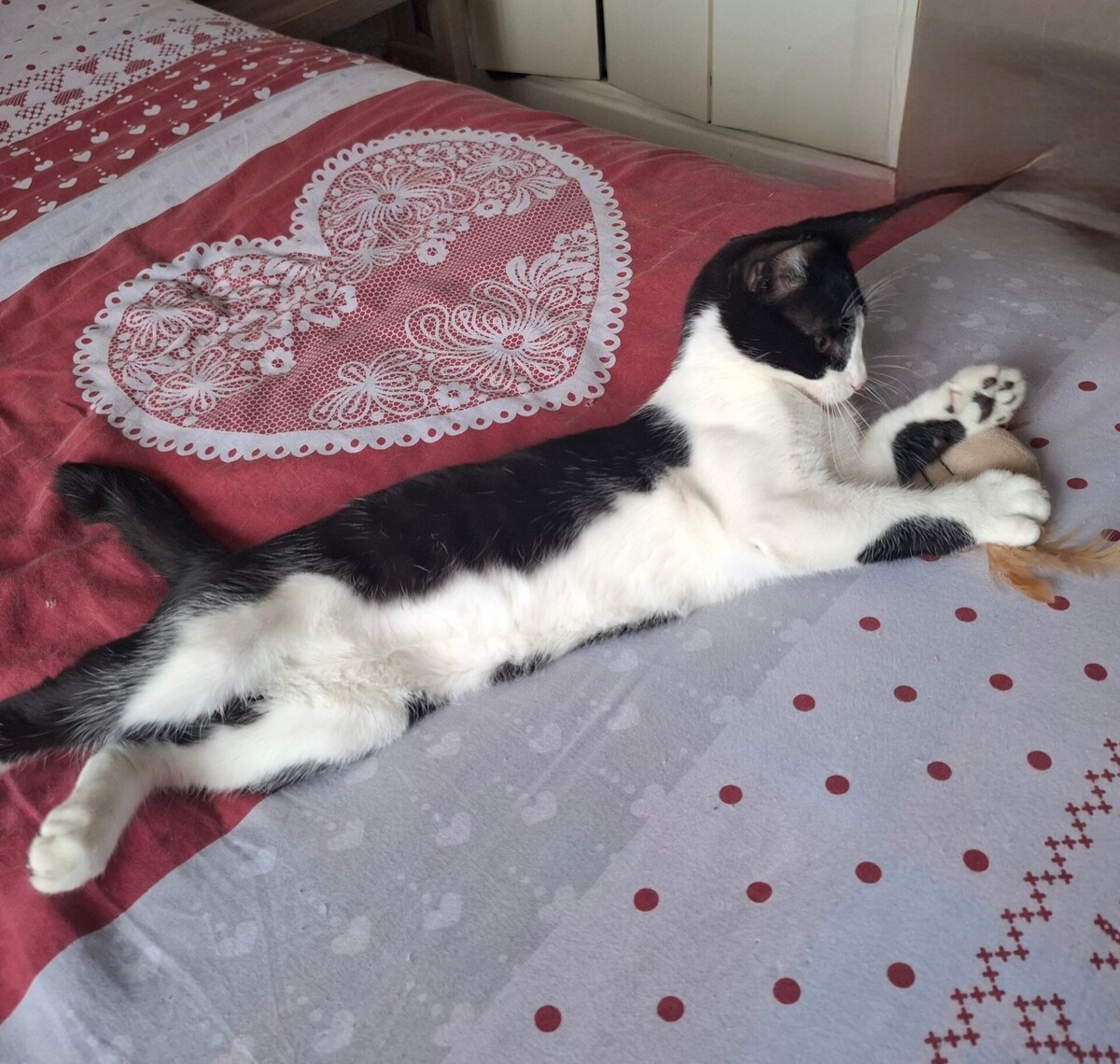 Adoption Bretzel