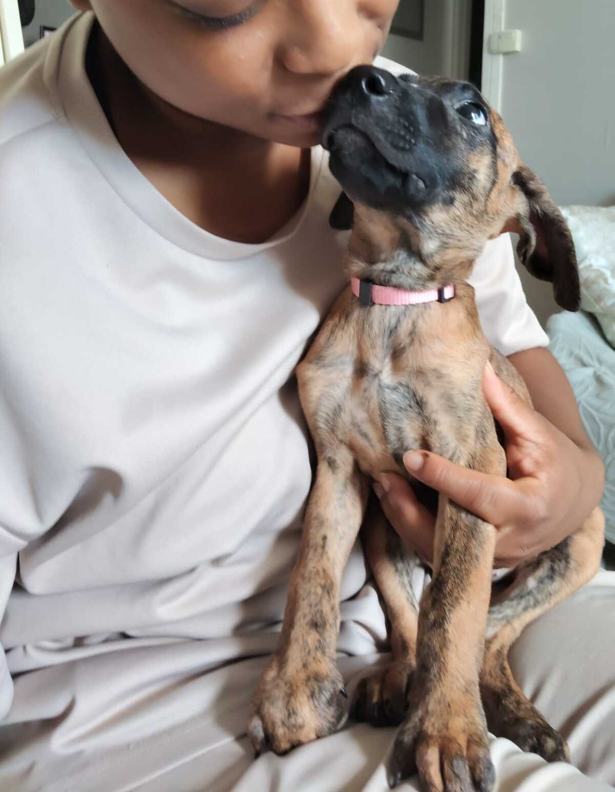 Adoption Rosa