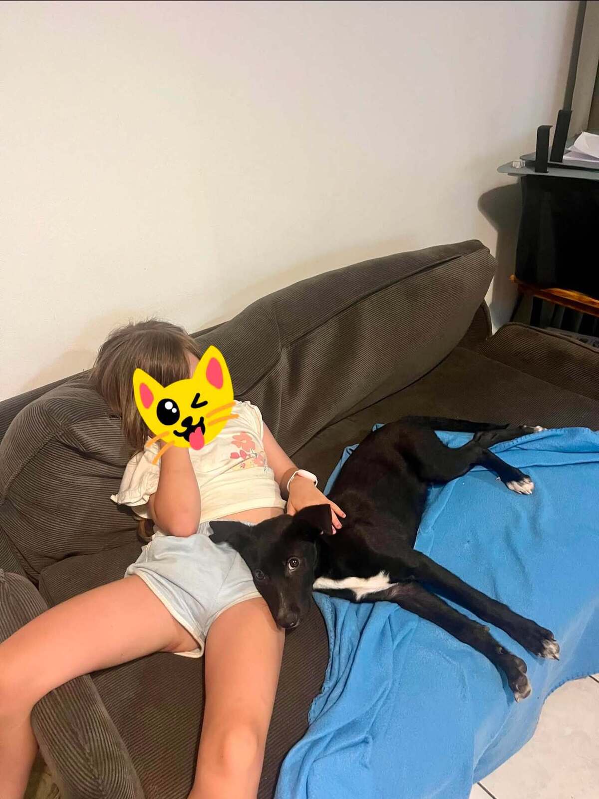 Adoption SAPHIR