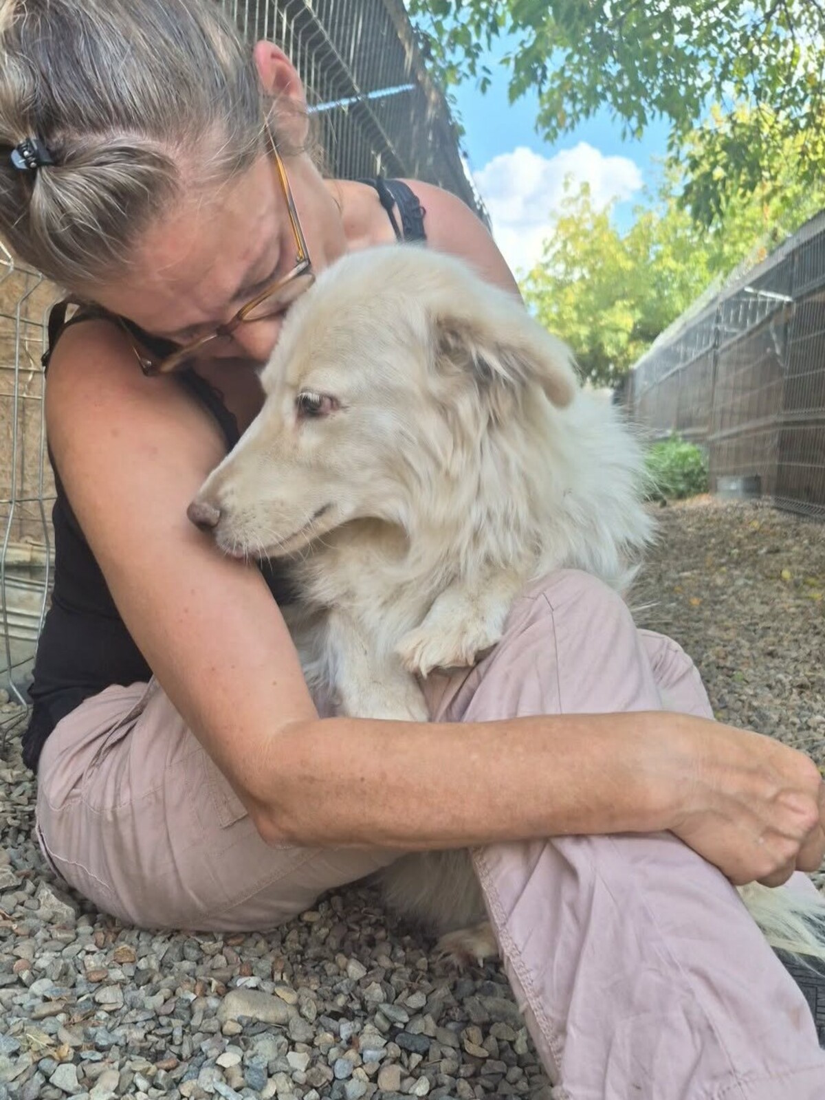 Adoption Alba