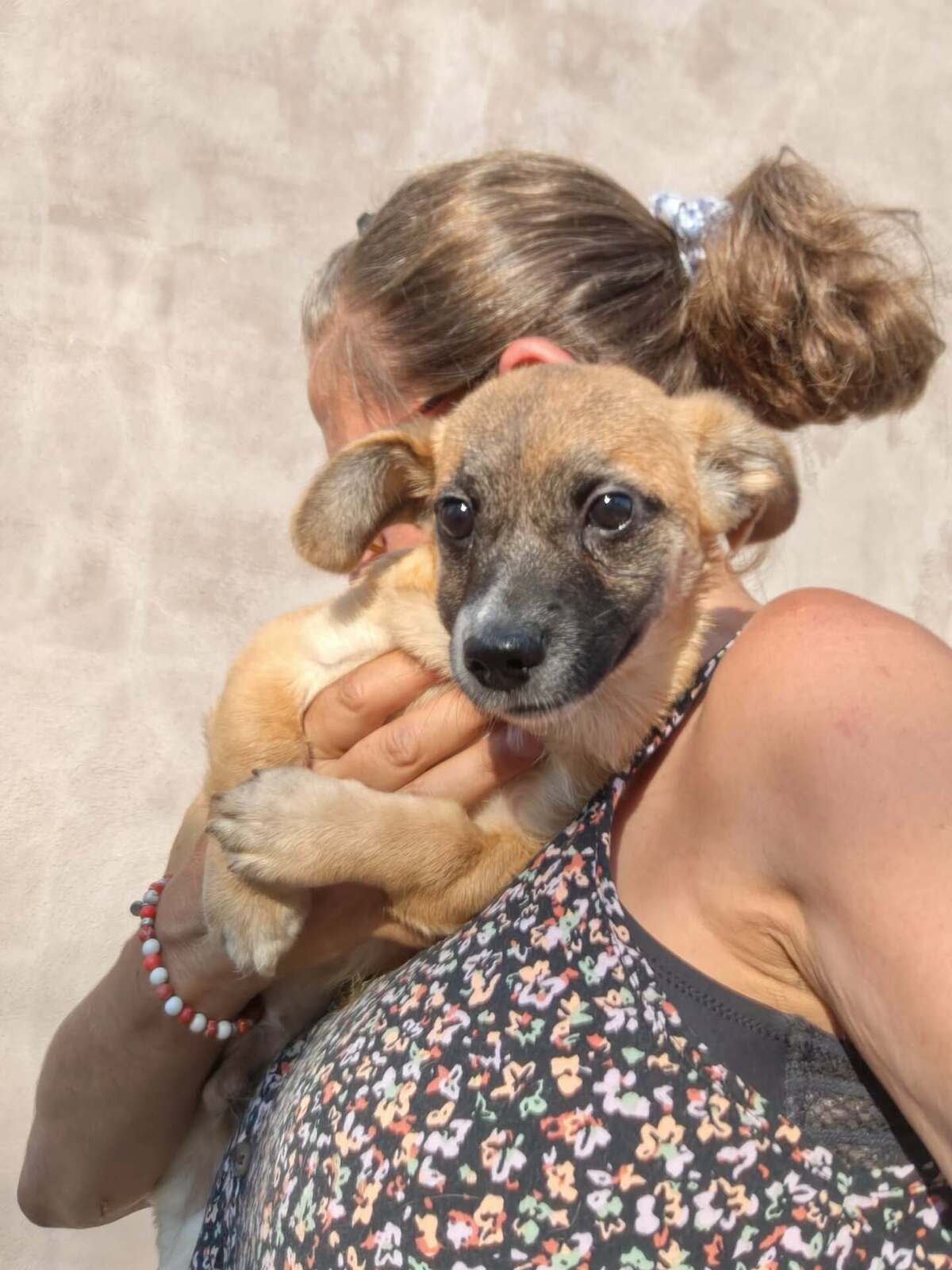 Adoption Soan