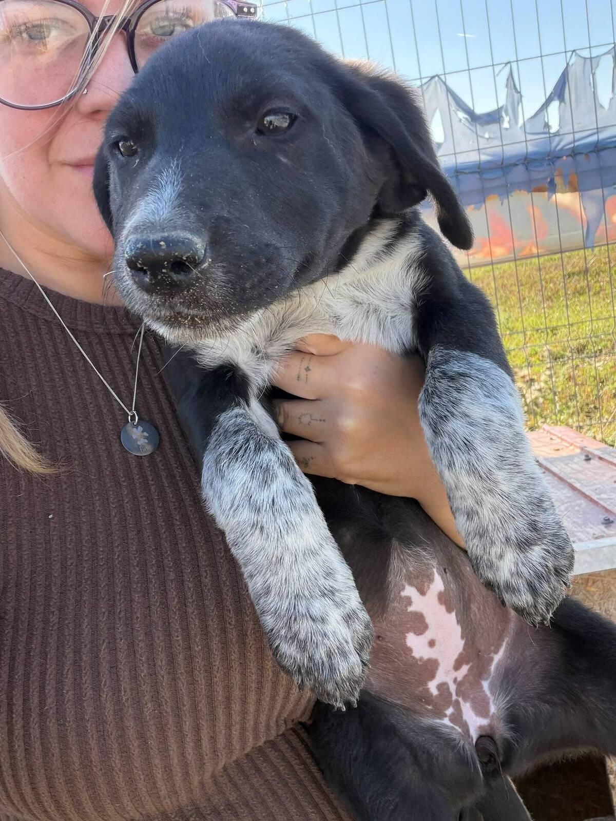 Adoption Honey