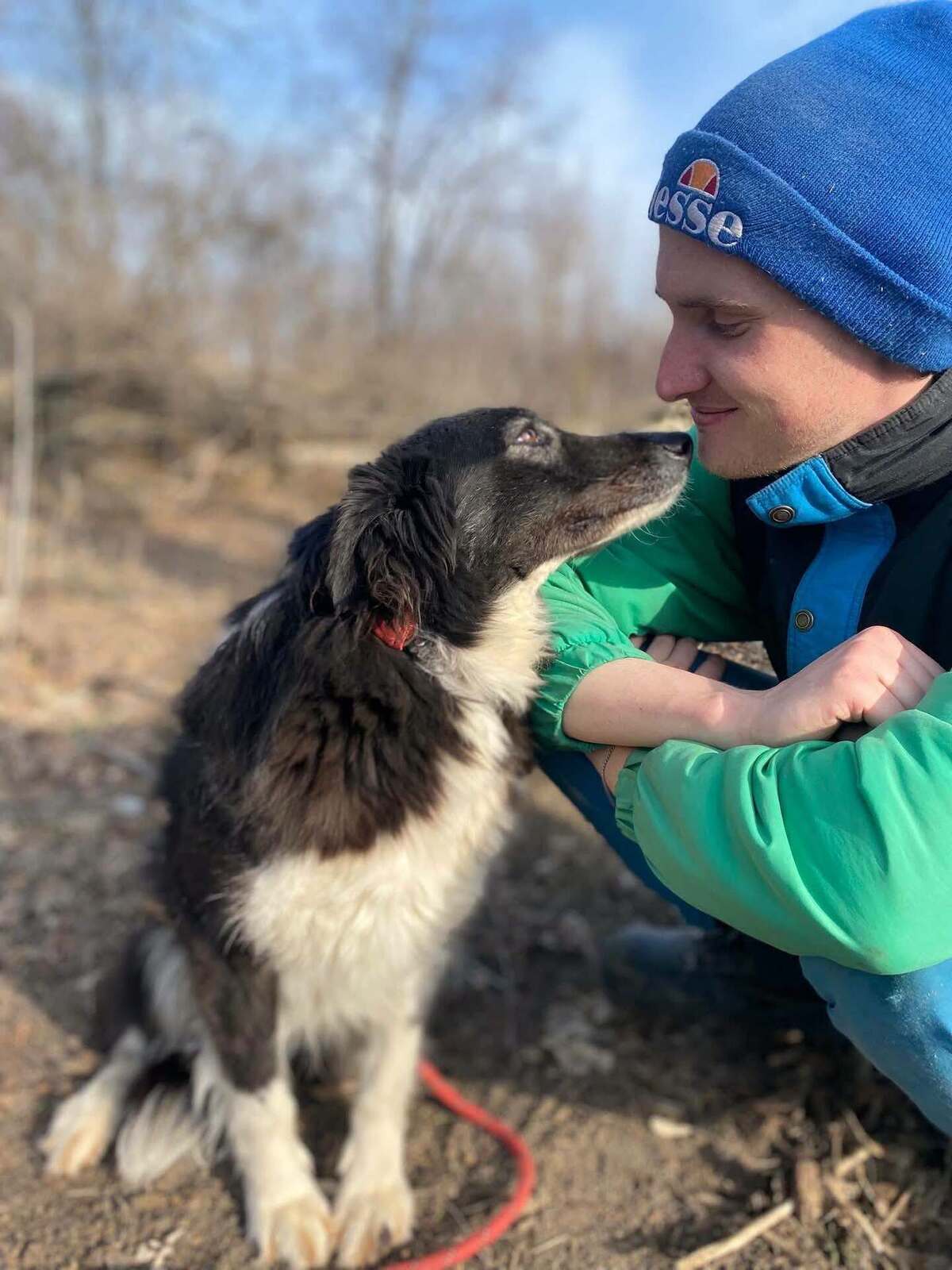 Adoption Biba