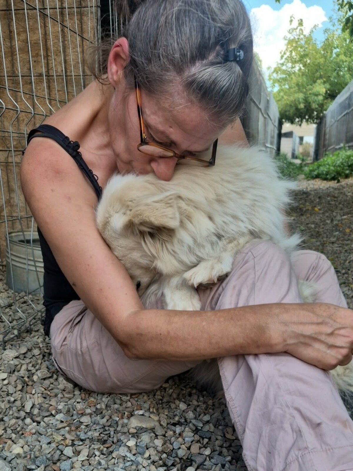 Adoption Alba