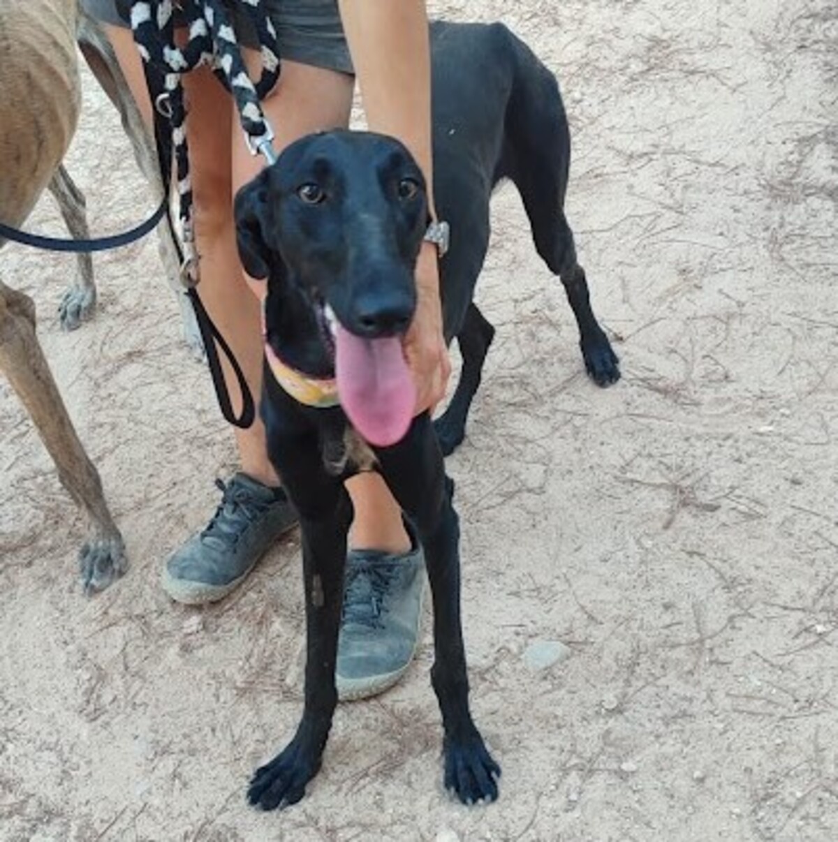 Adoption Zaniah