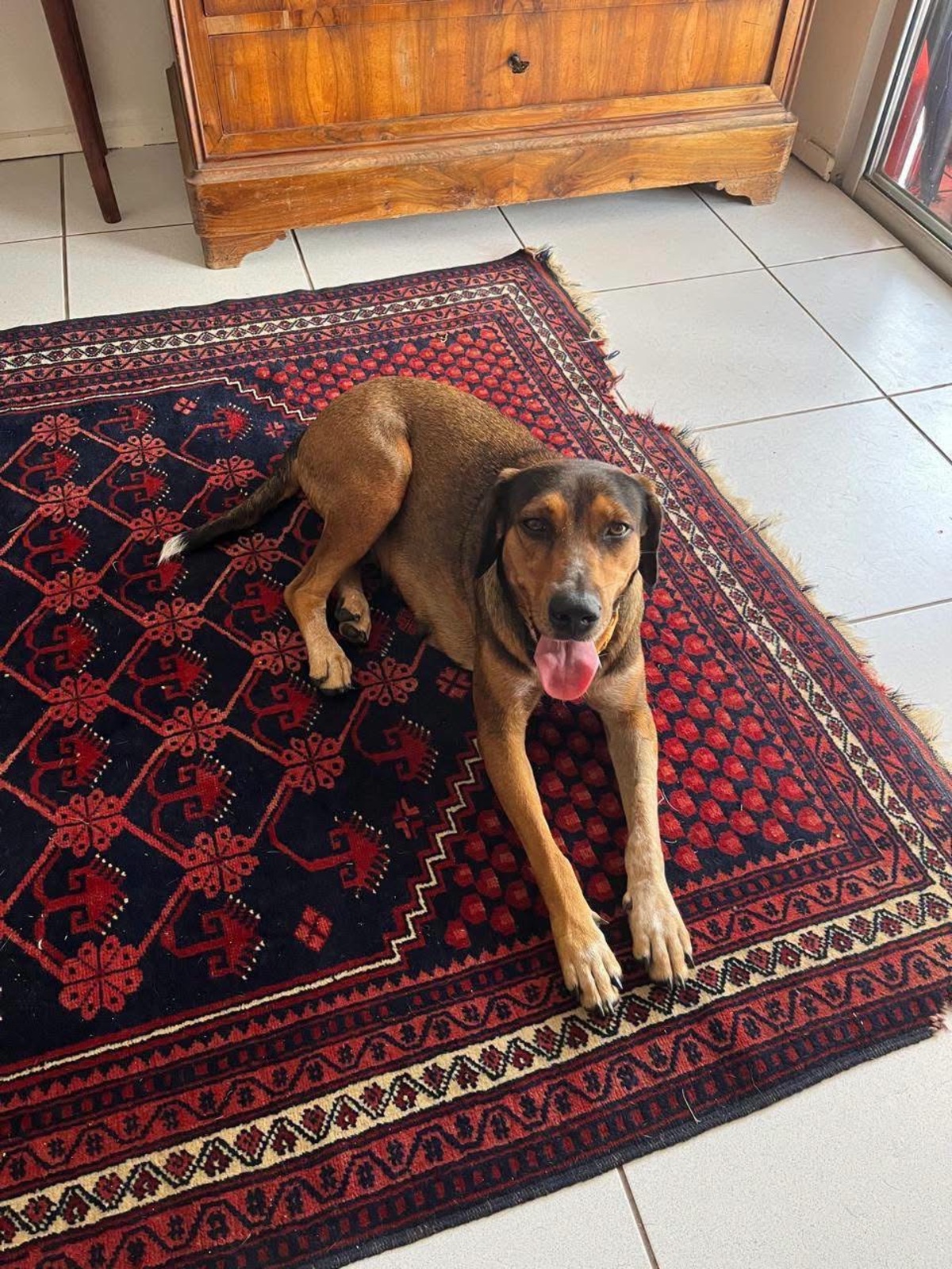 Adoption Mama