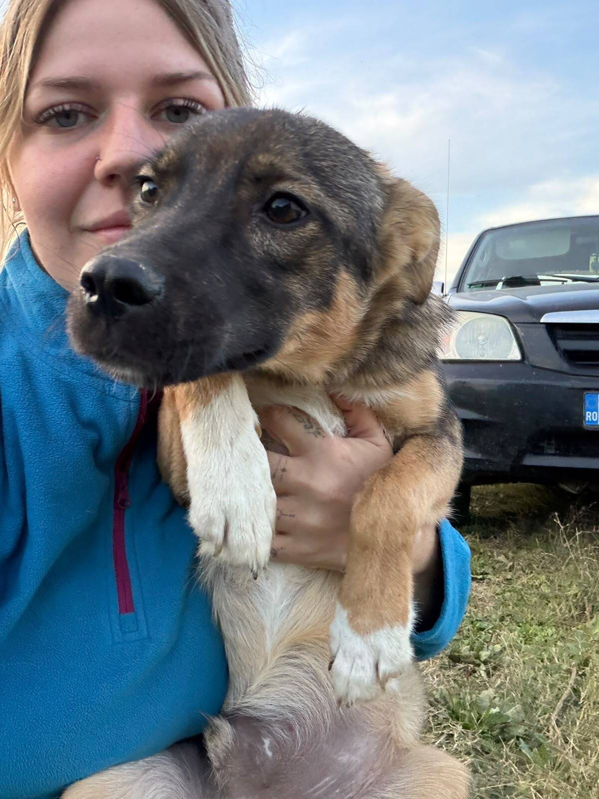 Adoption BRIO