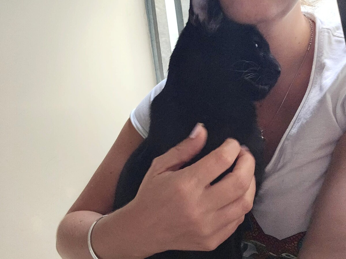 Adoption Alpha