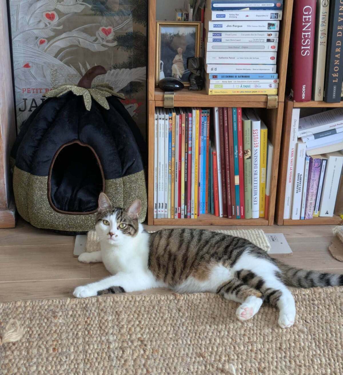 Adoption Iris et hermes