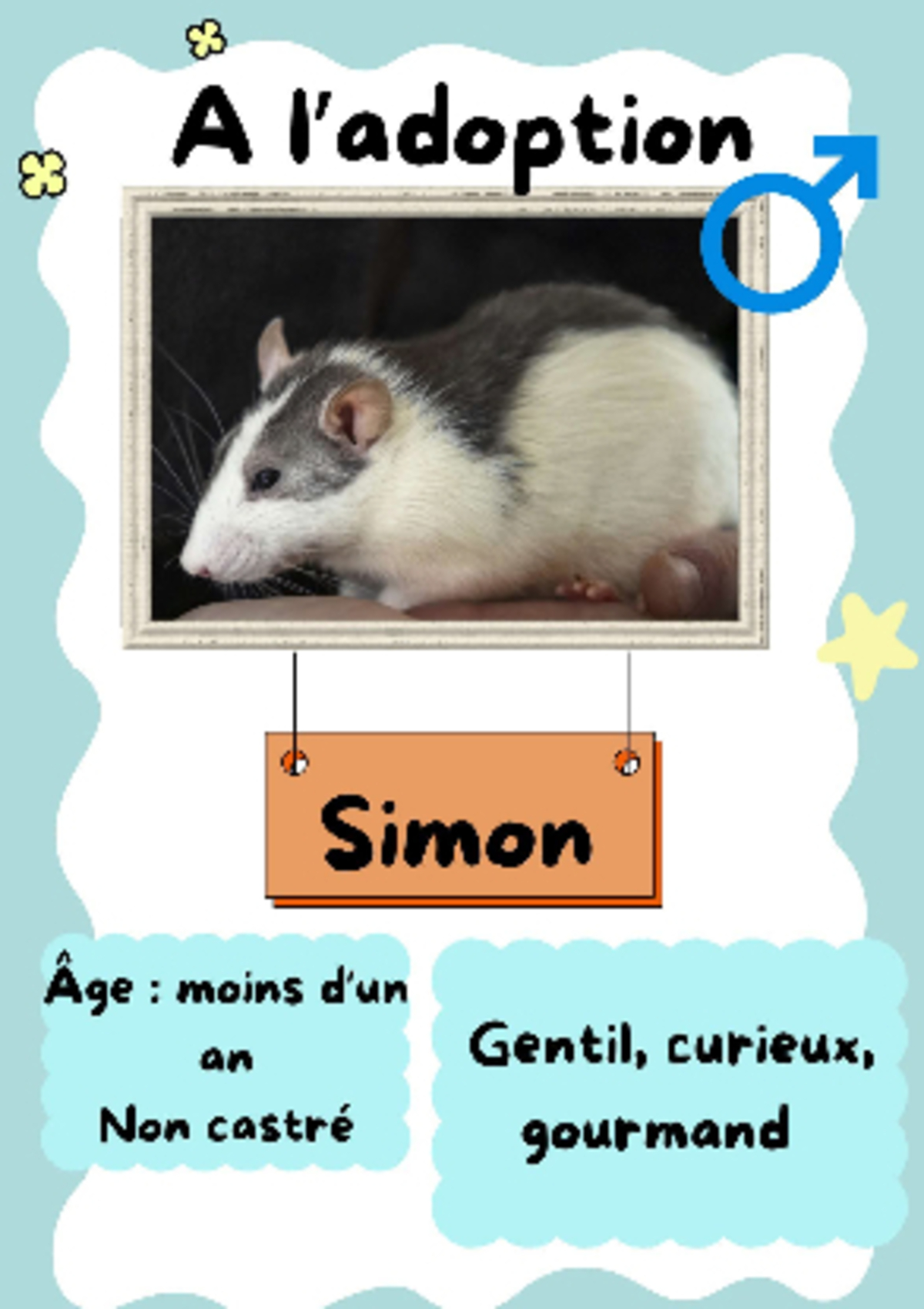 Adoption Simon