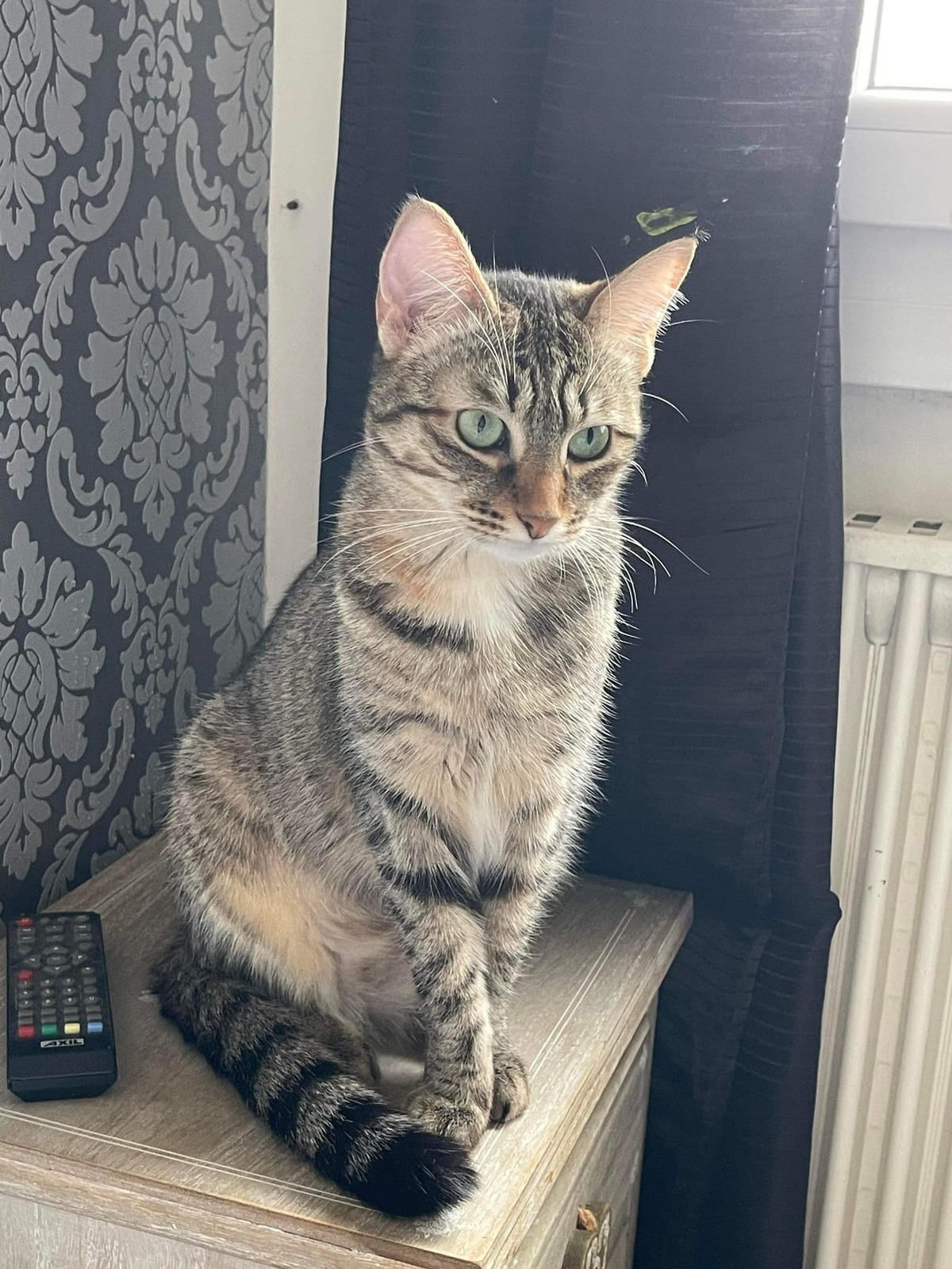Adoption Gisele