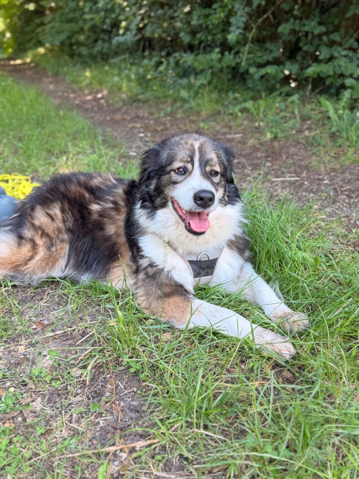 Adoption Kaly