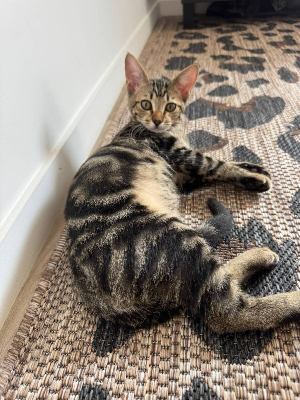 Adoption Gumble