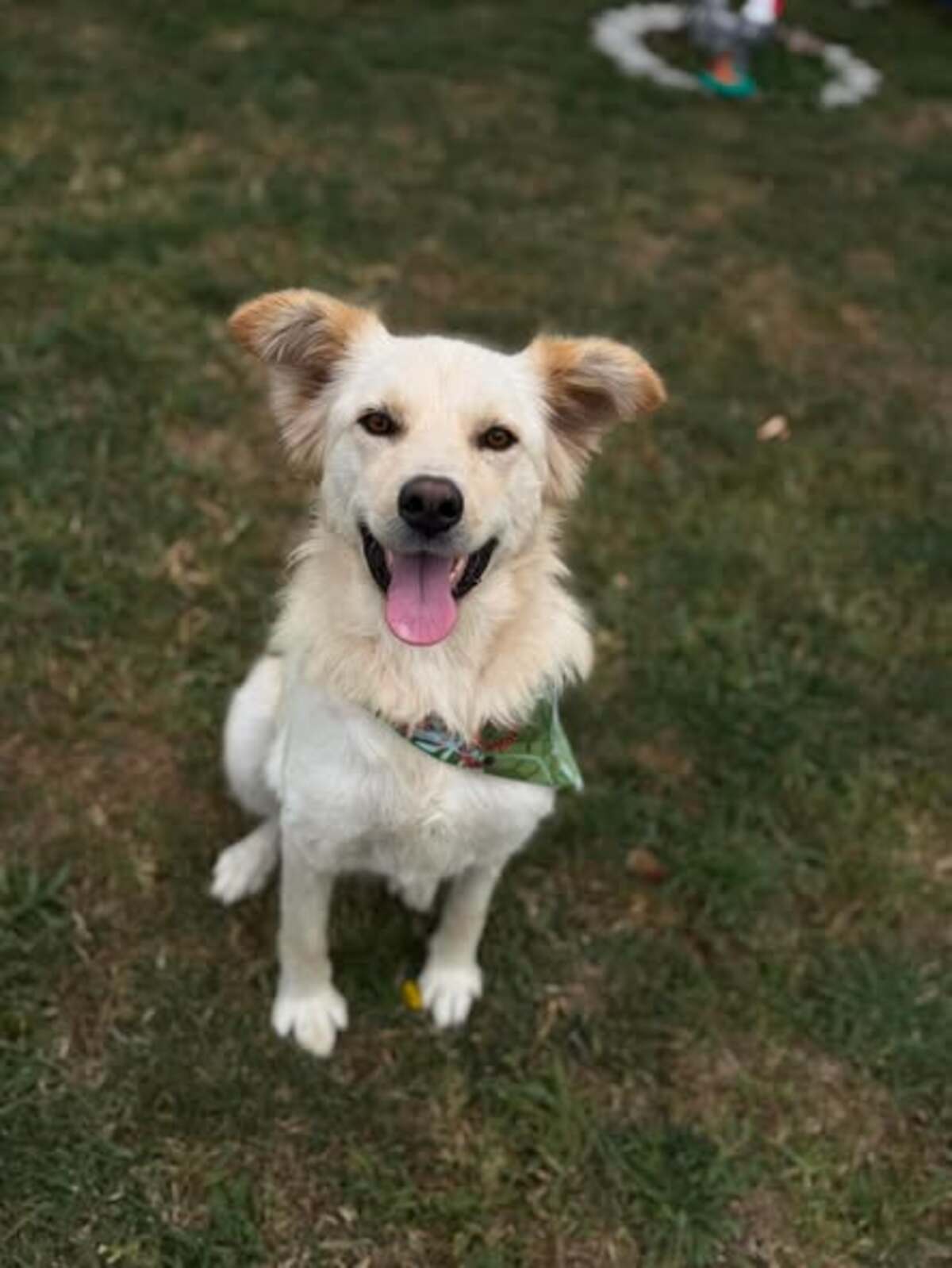 Adoption Toscane