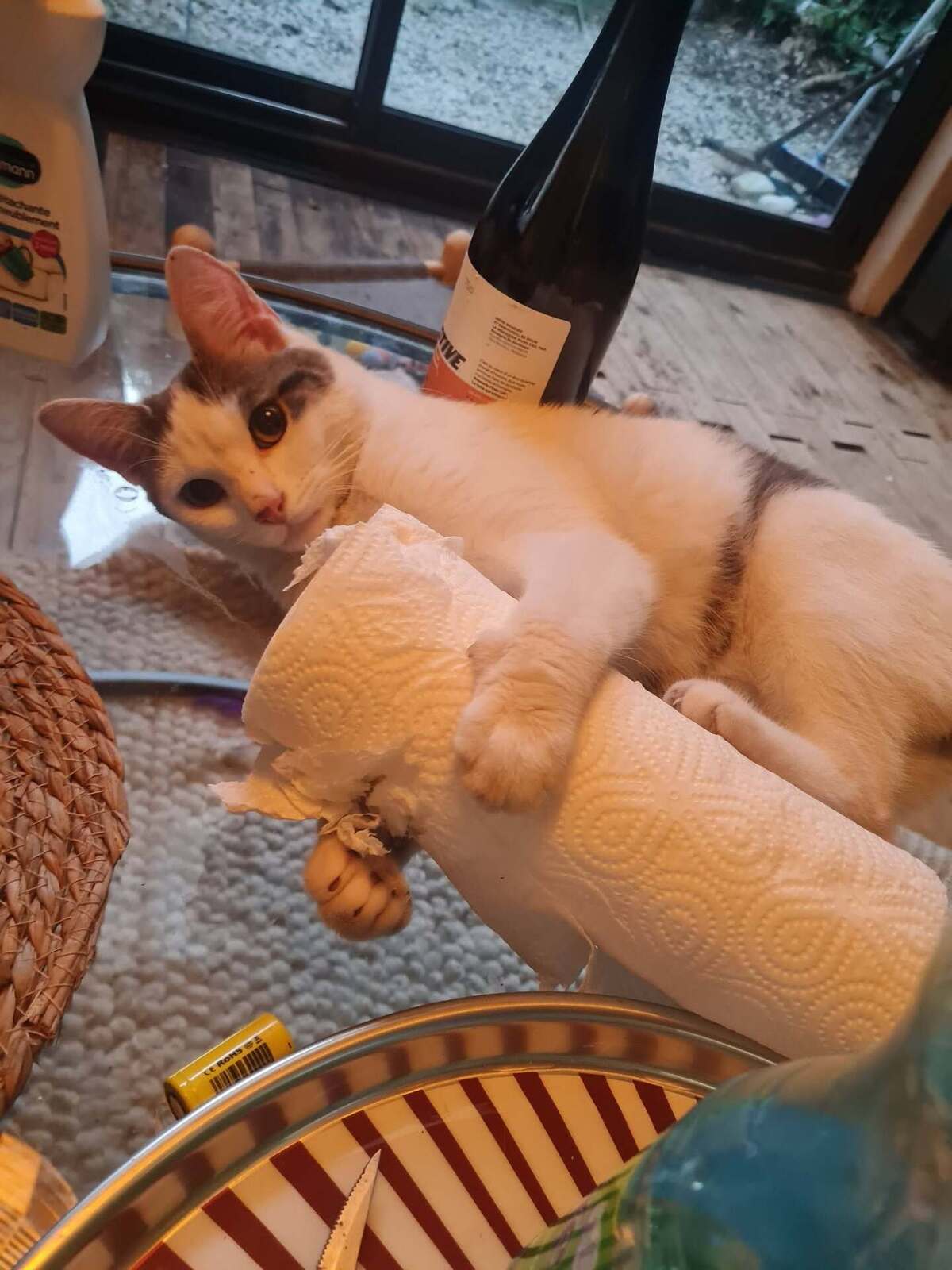 Adoption jean