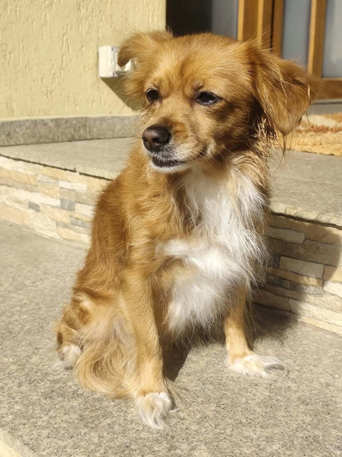 Adoption Rita