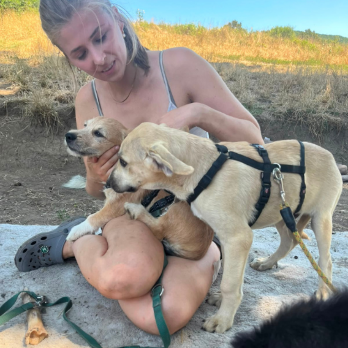 Adoption MANO