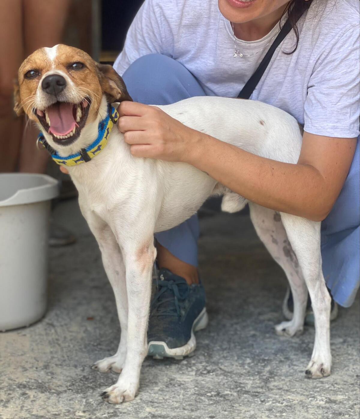 Adoption Chirimoyo