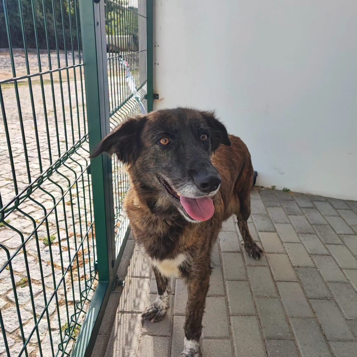 Adoption Vilma